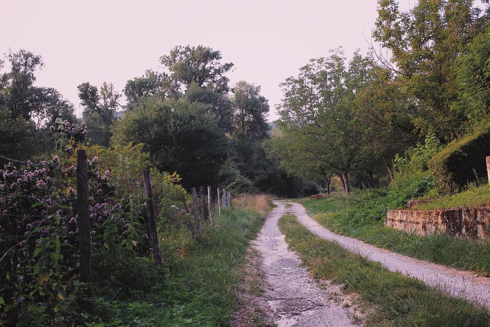 Joli Gite Pour 5 Personnes : Chez Cherrie Saint-Julien-de-Lampon Kültér fotó